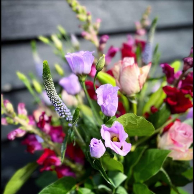 Spring Flowers