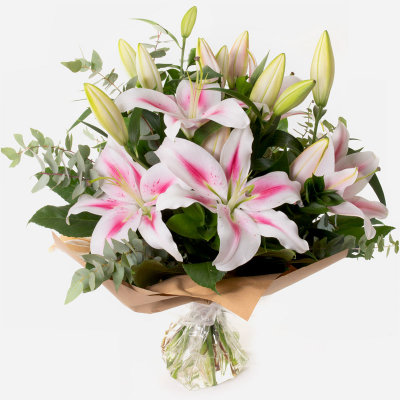 Star Gaze - A special gift of long lasting Oriental Lilies so simple, so perfect.
